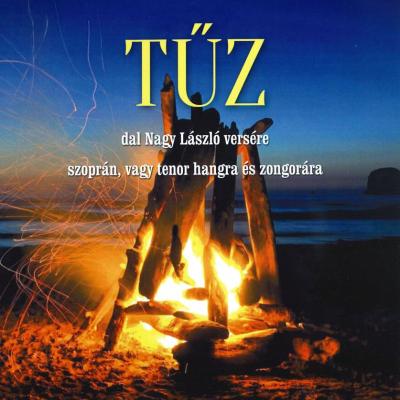 Tűz