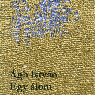 Egy álom következményei