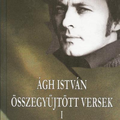 Összegyűjtött versek I–II.