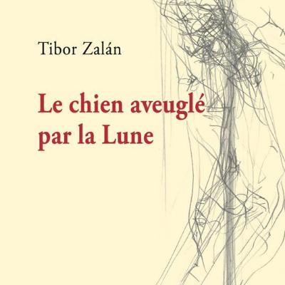Le chien aveuglé par la Lune