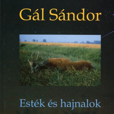 Esték és hajnalok