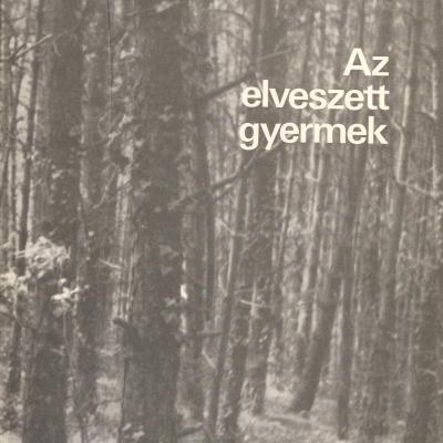Az elveszett gyermek