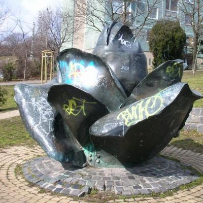 Rózsa