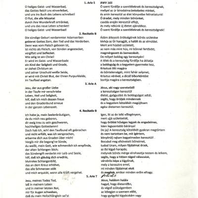 „In memoriam Nikolaus Harnoncourt" - szóló- és zenekari művek