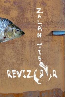 Revizorr