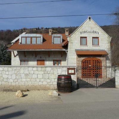 Borgaléria és grillező épület