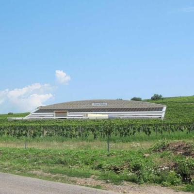 Tokaji Royal Borászat logisztikai központ