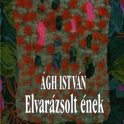 Elvarázsolt ének